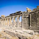 Daytrip to Volubilis (678746)