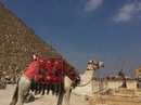 Pyramids of Giza (678672)
