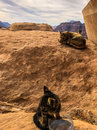 Full Day Hiking Petra (679472)