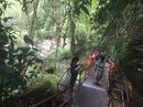 Daytrip to Phnom Kulen (680437)