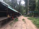 Daytrip to Phnom Kulen (680349)