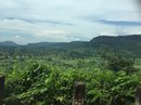 Daytrip to Phnom Kulen (680441)