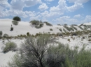 White Sands, NM (15298)