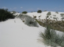 White Sands, NM (15422)