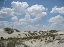 White Sands, NM (15367)
