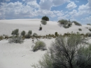 White Sands, NM (15440)