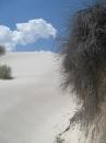 White Sands, NM (15436)