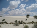 White Sands, NM (15357)