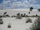 White Sands, NM (15432)