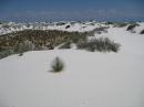 White Sands, NM (15363)