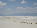 White Sands, NM (15439)