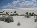 White Sands, NM (15411)