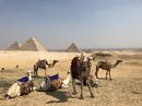 Pyramids of Giza (774757)