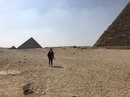 Pyramids of Giza (774637)