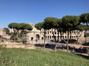 The Roman Forum and Colosseum  (775788)