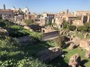 The Roman Forum and Colosseum  (775598)