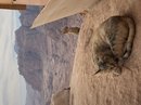 Full Day Hiking Petra (776153)