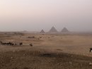 First Night in Giza (776348)