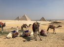 Pyramids of Giza (776455)