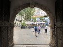 Exploring Gibraltar  (777254)