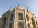 The Taj Mahal (777452)