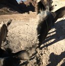 Hike to Jabal Haroun (777471)