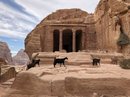Full Day Hiking Petra (777347)