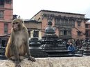 The Monkey Temple (777494)