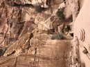 Full Day Hiking Petra (778078)