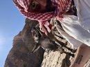 Hike to Jabal Haroun (777924)
