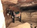 Full Day Hiking Petra (777888)