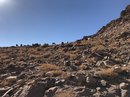Hike to Jabal Haroun (778685)