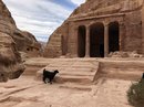 Full Day Hiking Petra (778787)