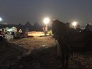 First Night in Giza (778898)