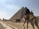 Pyramids of Giza (780341)