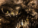 Carlsbad Caverns (781282)