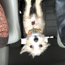 New Year's Eve Day (781181)