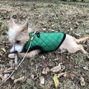 New Year's Eve Day (781272)