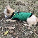 New Year's Eve Day (781235)