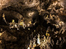 Carlsbad Caverns (781283)