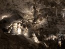 Carlsbad Caverns (781303)