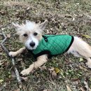 New Year's Eve Day (781243)