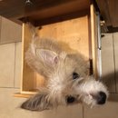 Atti in a Drawer (781285)