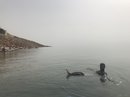 The Dead Sea (781142)