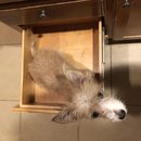 Atti in a Drawer (781653)