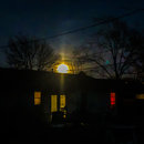 Backyard Atti (781355)