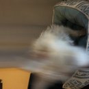 Random Atti Pics (781340)