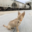 Christmas in Houston (781631)