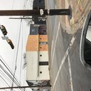 New Year's Eve Day (781543)