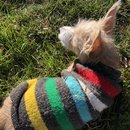 Clay Pigeons and Dave's House (781546)